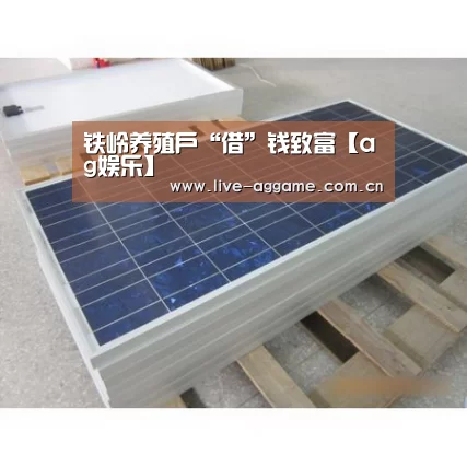 铁岭养殖户“借”钱致富【ag娱乐】(图1) AG真人游戏平台