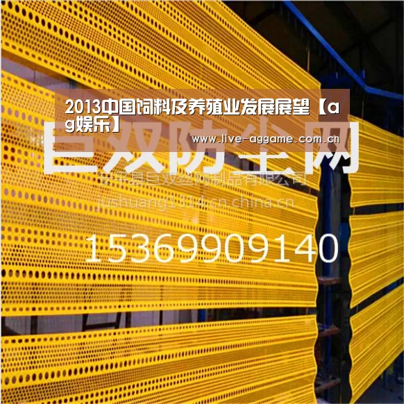2013中国饲料及养殖业发展展望【ag娱