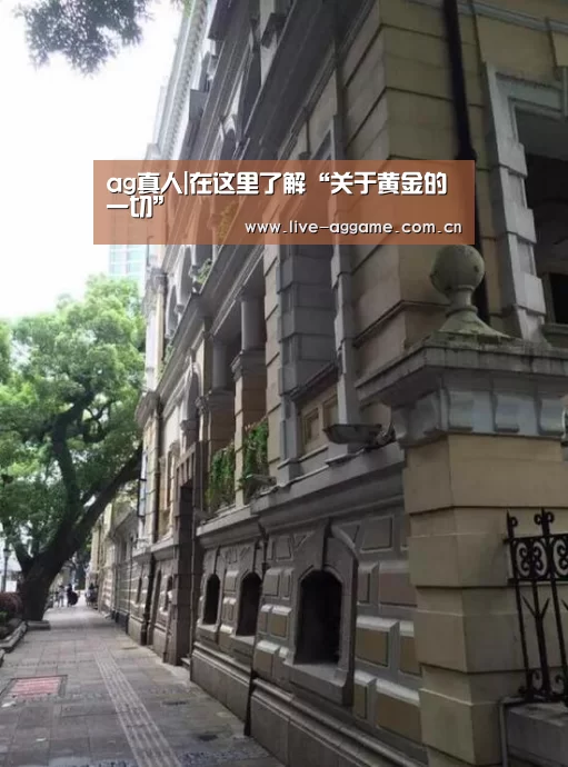 ag真人|在这里了解“关于黄金的一切”(图3) ag真人