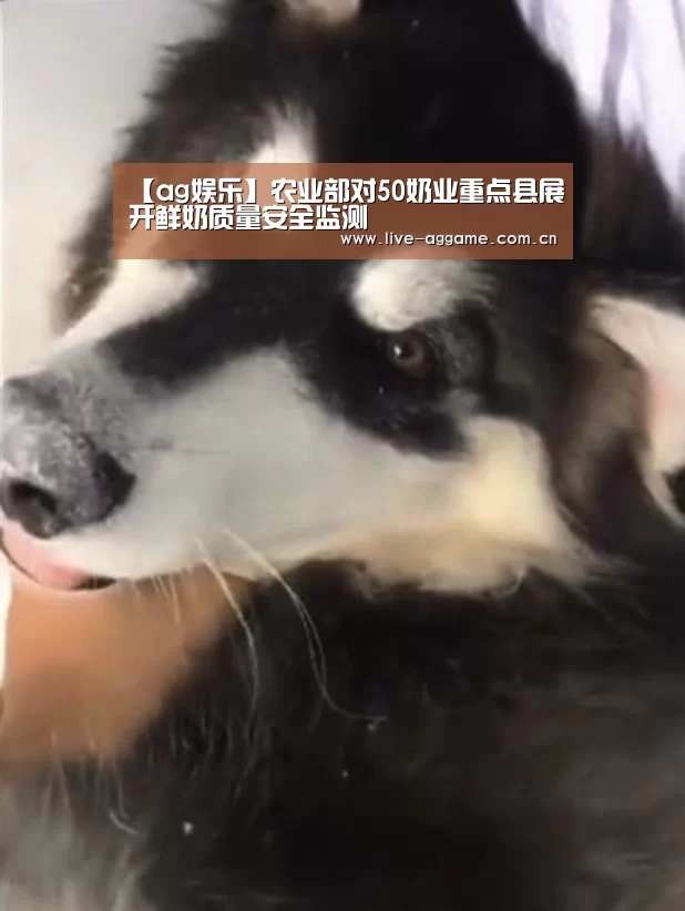 【ag娱乐】农业部对50奶业重点县展开鲜奶质量安全监测(图1) ag真人