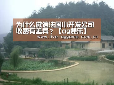 为什么微信法国小开发公司收费有差异?【ag娱乐】(图1) ag娱乐