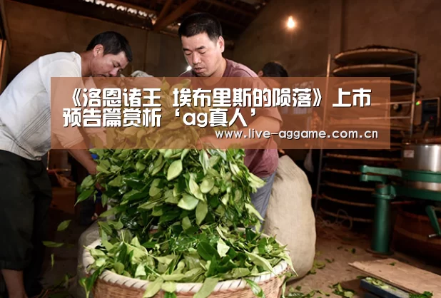 AG真人游戏平台